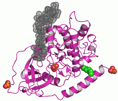 Image Asym./Biol. Unit - manually