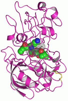 Image Asym./Biol. Unit - manually