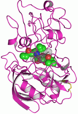 Image Asym.Unit - manually
