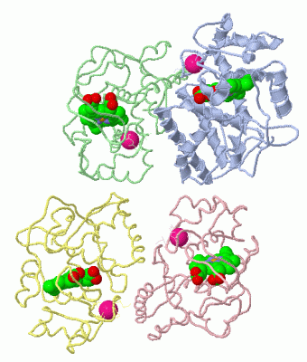 Image Asym.Unit - manually