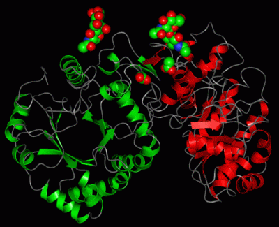 Image Asym./Biol. Unit - manually