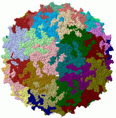 Image Biol.Unit 1 - manually