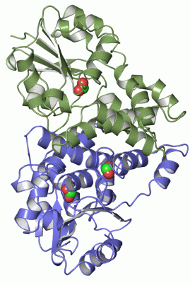 Image Asym./Biol. Unit - manually