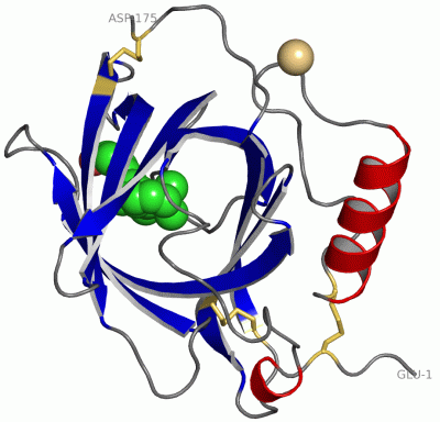 Image Asym./Biol. Unit - manually