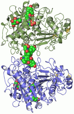 Image Asym.Unit - manually