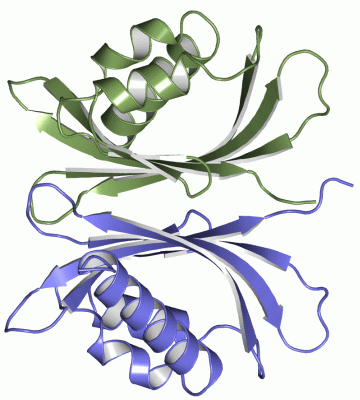 Image Asym./Biol. Unit - manually