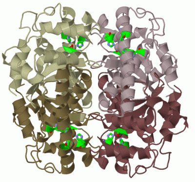 Image Biol.Unit 1 - manually