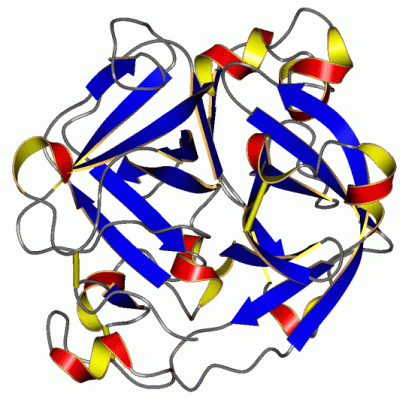 Image Asym./Biol. Unit - manually