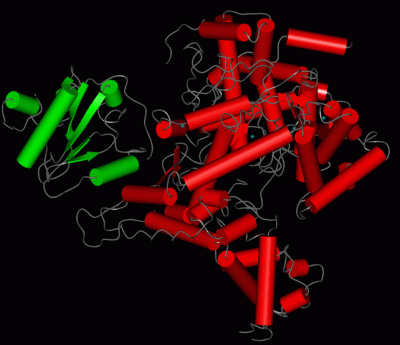 Image Asym./Biol. Unit - manually