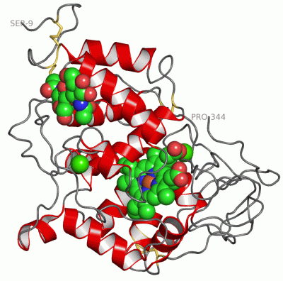 Image Asym./Biol. Unit - manually