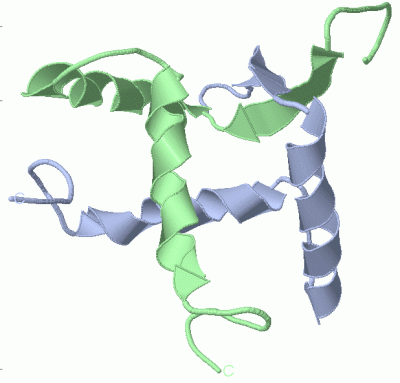 Image NMR Structure - manually