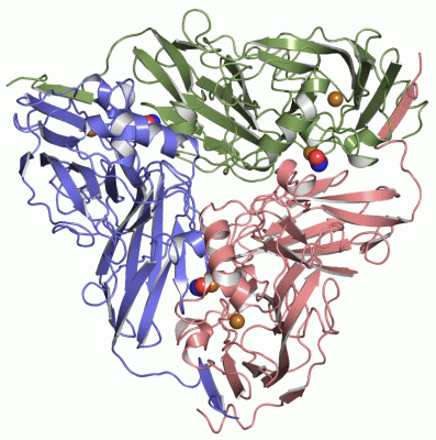 Image Asym./Biol. Unit - manually