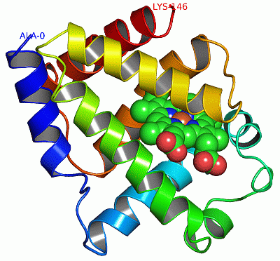 Image Asym./Biol. Unit - manually