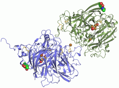Image Asym.Unit - manually