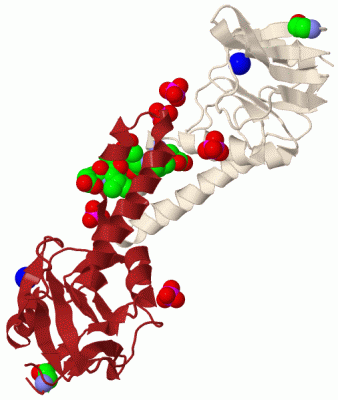 Image Biol.Unit 1 - manually