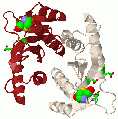 Image Biol.Unit 1 - manually