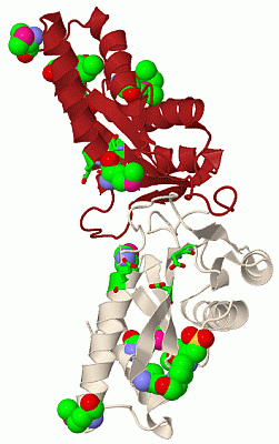 Image Biol.Unit 1 - manually