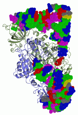 Image Asym./Biol. Unit - manually