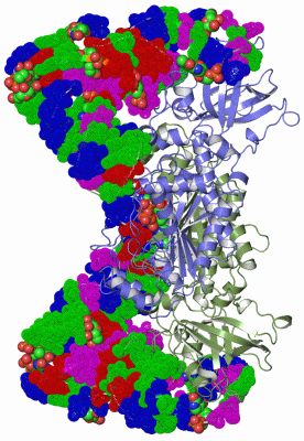 Image Asym./Biol. Unit - manually