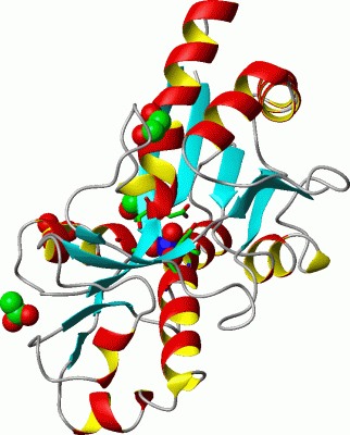 Image Asym./Biol. Unit - manually