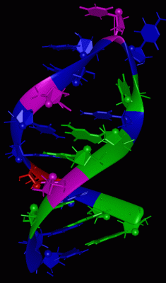 Image NMR Structure - manually