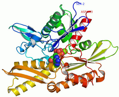 Image Asym./Biol. Unit - manually