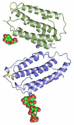 Image Asym./Biol. Unit - manually