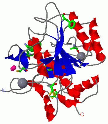 Image Asym./Biol. Unit - manually