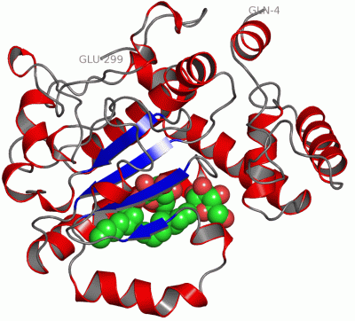 Image Asym.Unit - manually