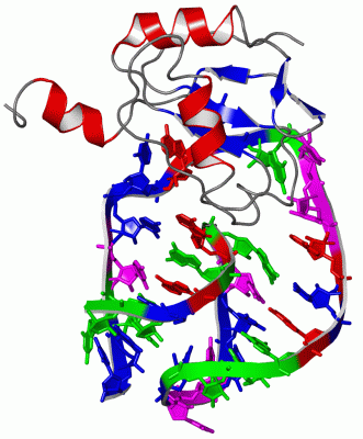 Image NMR Structure - manually