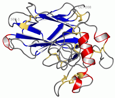 Image Asym./Biol. Unit - manually