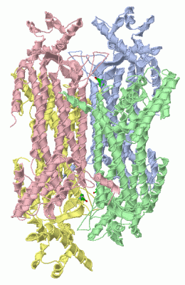 Image Asym./Biol. Unit - manually