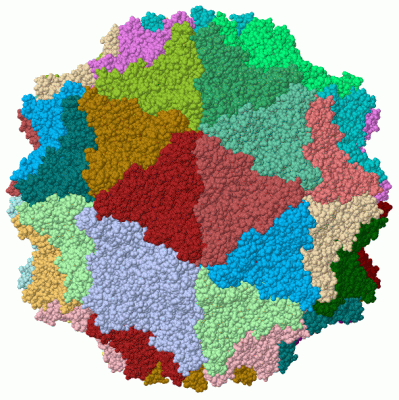 Image Biol.Unit 1 - manually