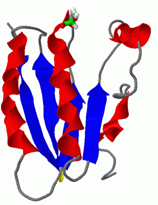 Image NMR Structure - manually