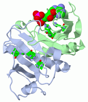 Image Asym./Biol. Unit - manually