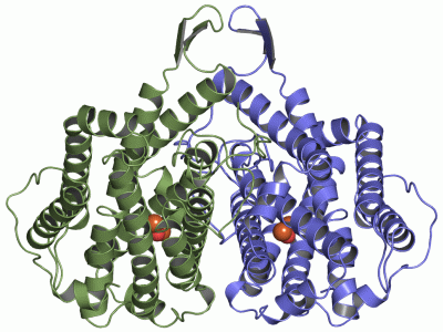 Image Asym./Biol. Unit - manually