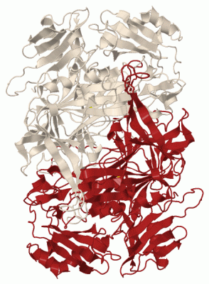 Image Biol.Unit 1 - manually