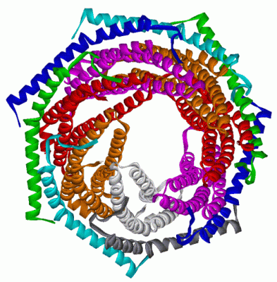 Image Asym./Biol. Unit - manually
