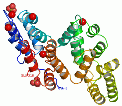 Image Asym./Biol. Unit - manually