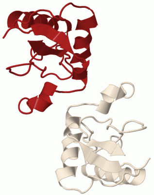 Image Biol.Unit 1 - manually