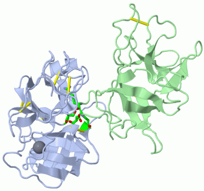 Image Asym./Biol. Unit - manually