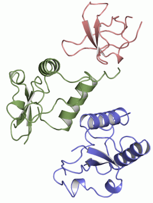 Image Asym./Biol. Unit - manually