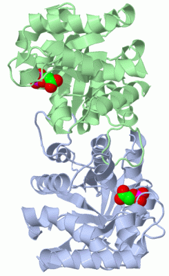 Image Biol.Unit 1 - manually