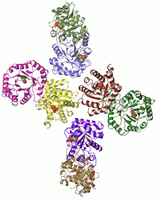 Image Asym.Unit - manually