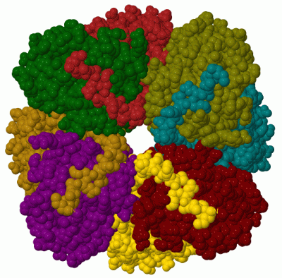 Image Biol.Unit 1 - manually