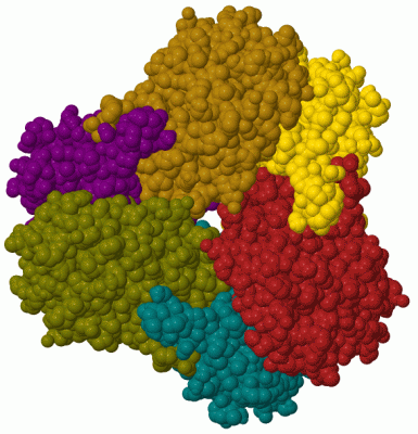 Image Biol.Unit 1 - manually