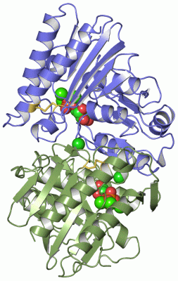 Image Asym./Biol. Unit - manually