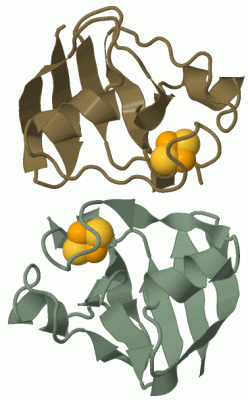 Image Biol.Unit 1 - manually