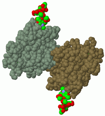 Image Biol.Unit 1 - manually