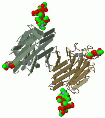 Image Biol.Unit 1 - manually